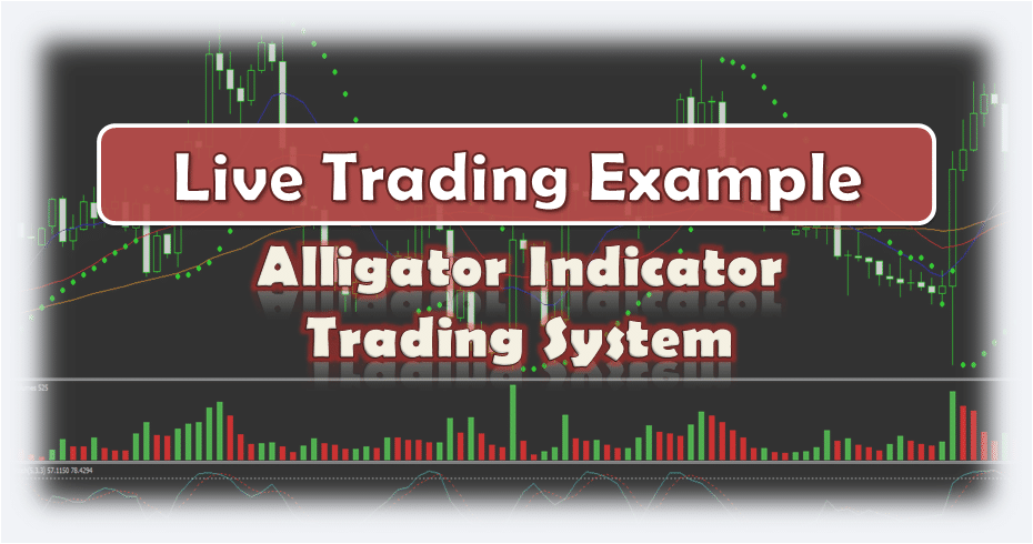 Forex Alligator Indicator Strategy