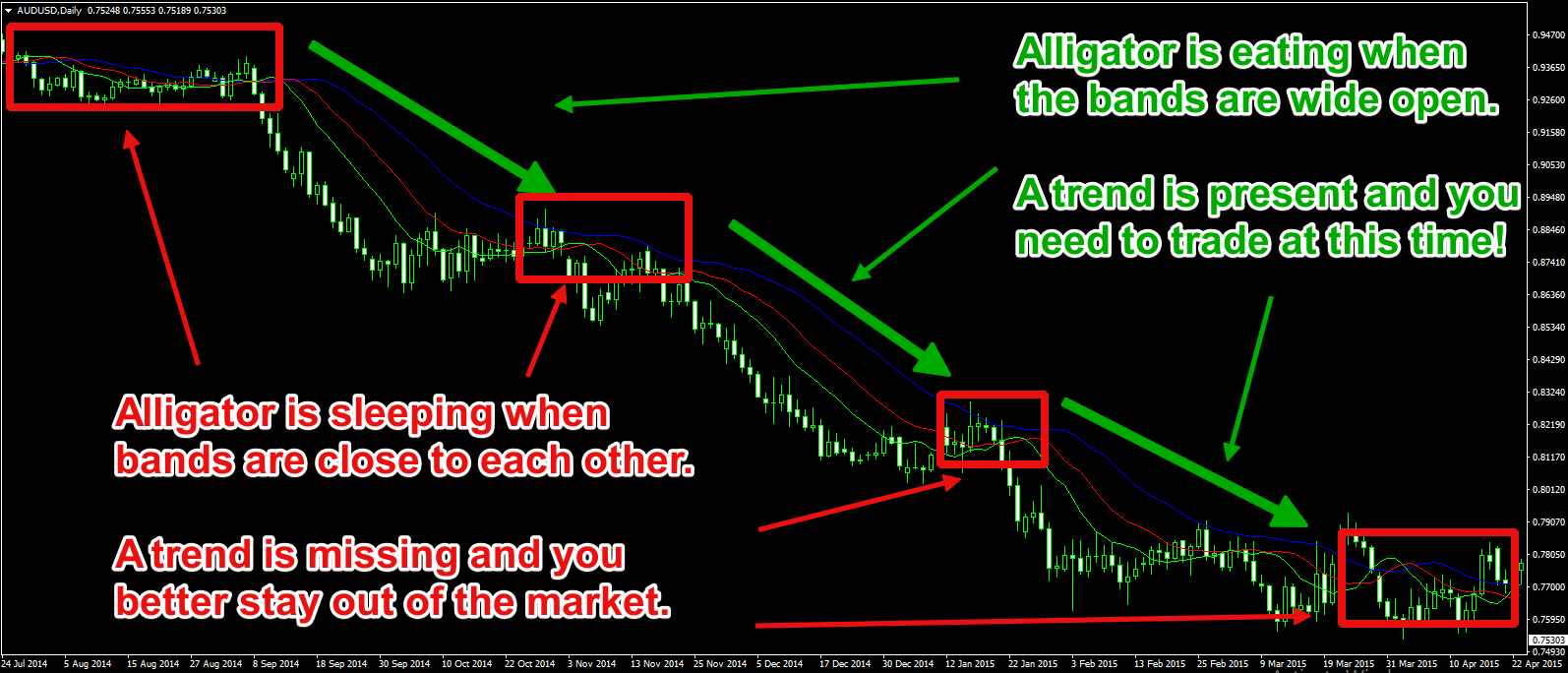 The alligator indicator