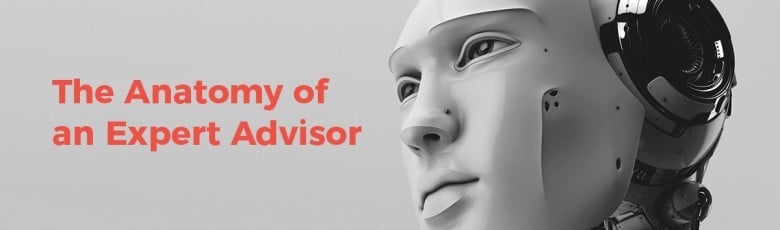 The Anatomy of an Expert Advisor in Forex
